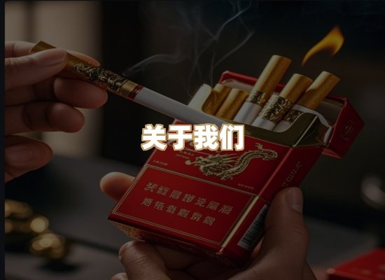 关于蓝帝网